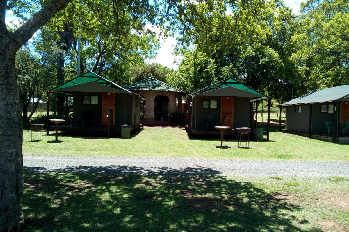 Green tents beneath tall trees on the lawns at Sabie River Camp