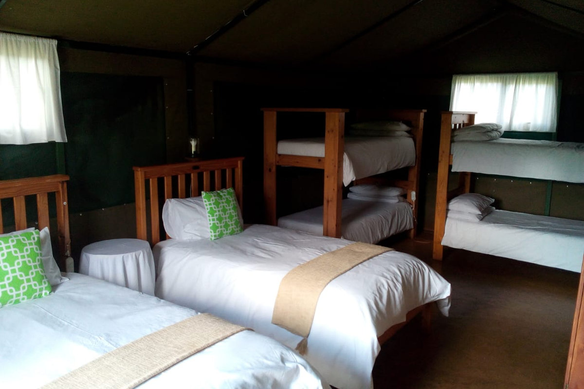 Beds made up with fresh linen inside a four sleeper tent